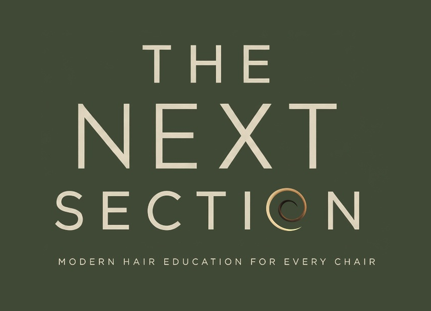 The Next Section — Modern Hair Education for Every Chair